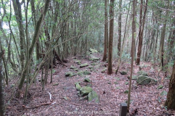 《台中》谷關七雄｜初登屋我尾山201703192890441