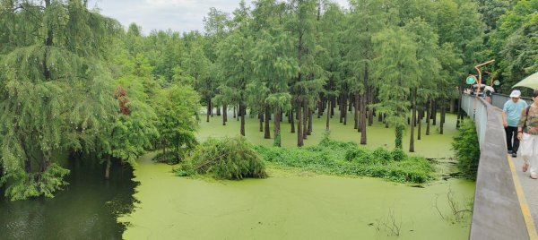 青山湖3089608