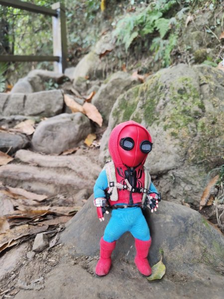 2023.12.23 崁頭山2833308