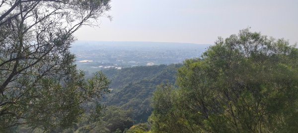 頭嵙山、聚興山3123097