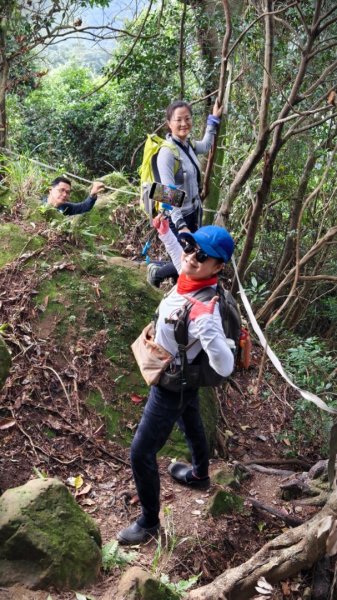 東勢大崙、東勢坑山、觀音湖山O走2986309