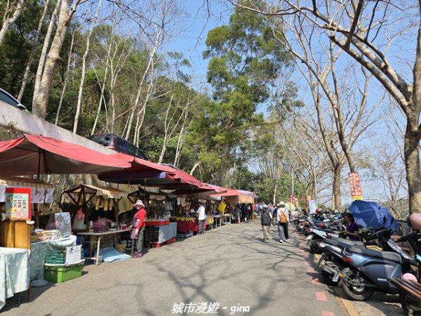 【彰化】員林藤山步道x田尾公路花園3016554