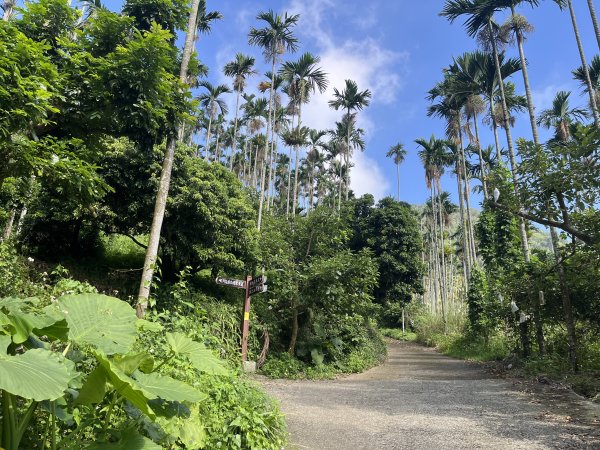 [嘉遊好步道．來嘉走走-08/10] 2024_1013 阿拔泉山稜線步道2627535