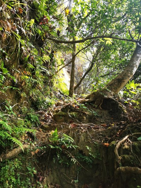 九華山福德宮-平溪子山-台和煤礦-北43鄉道-106縣道2907773