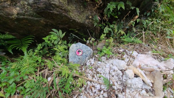 清涼的坪溪、石空古道連走上太和山2153431