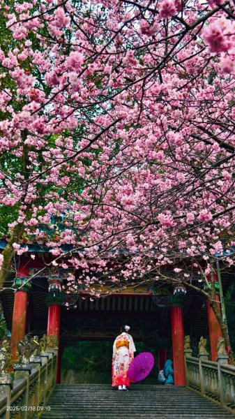 內湖碧山巖 2/182714790