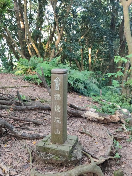 微笑山線：【鳶山山系】鳶山彩壁段2855445