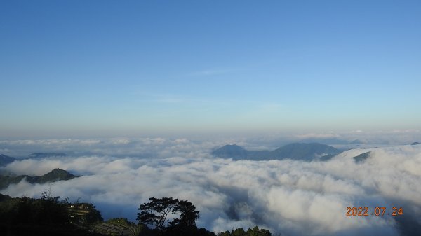 最高小百岳-大塔山2663M&阿里山二延平步道1775031