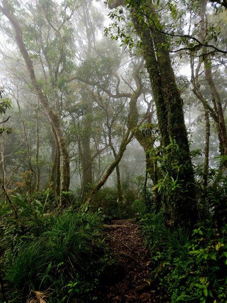 都蘭山-小百岳#93-台東縣東河鄉2779406