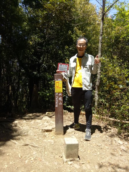 雪見北坑山大板根1904428