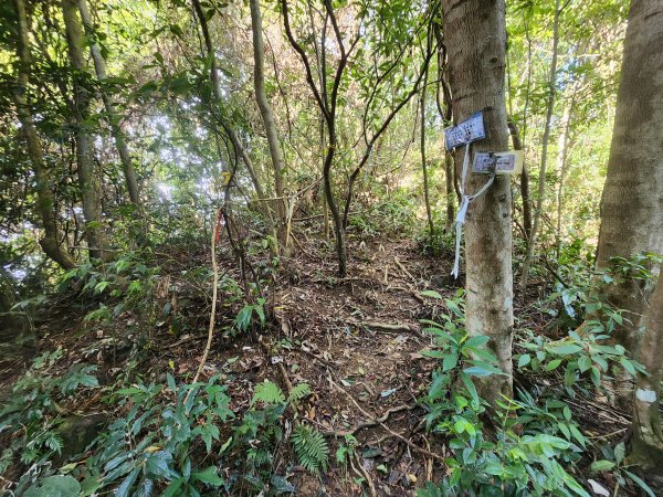 20251214石牛山柑坪山新柑坪山牛背岩2972742