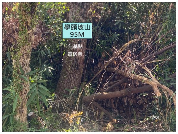 金龍湖、鷹石尖、老鷲尖、內溝山 O型一圈2966592