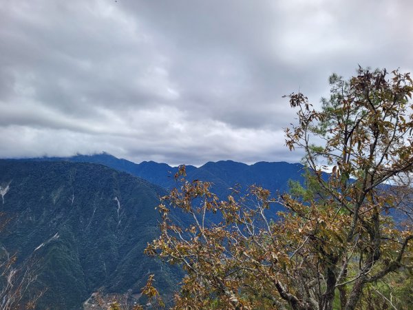 2025.11.30 谷關七雄 No.4 波津加山，不給休的蜂2952139