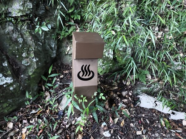 [玉山尋寶任務-07/12] 2025_0824 八通關雲龍瀑布步道2870399