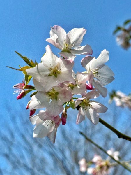 溪頭六連峰O繞2741768