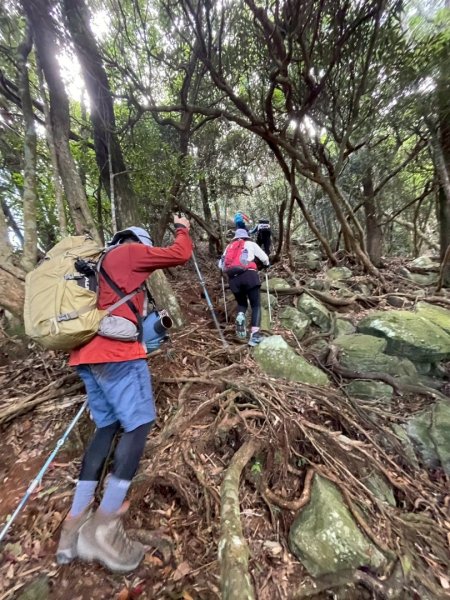阿冷山 谷關第八雄2877414