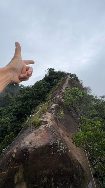 大雨後🙄2845498