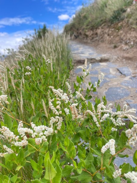 拉薩/布達拉宮-札達/古格王朝遺址皮央東嘎遺址-古寺廟2898486
