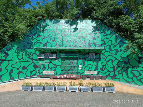 霄裡好風光永安漁港美食一日遊2814720