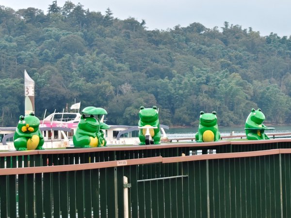 南投日月潭．水蛙步道202607093123046