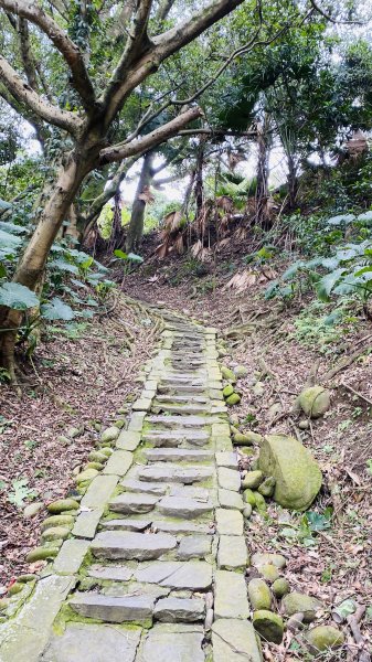 [桃園大溪]齋明寺百年清幽小徑野餐1242635