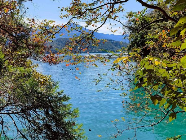 🌈12/21(日)落雨松紅了~日月潭環湖精華段✨FB：熊熊趴爬走🌈2967380