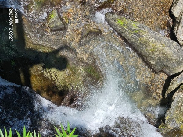 福山大羅蘭溪>古圳步道>黃金水岸2858968