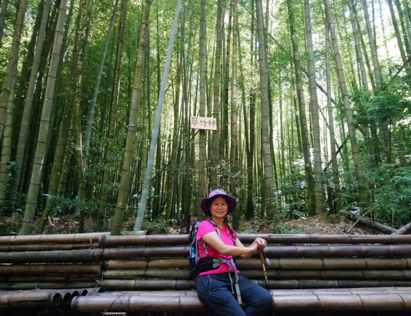 鳶嘴西稜O走（大崠山、長壽山、鳶嘴山）1073407