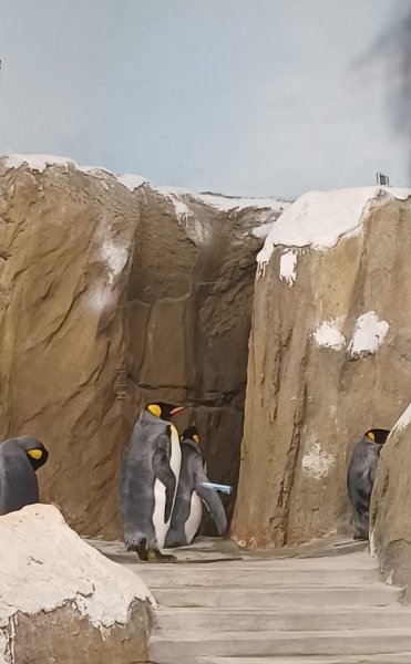 台北市立動物園.文山3004160