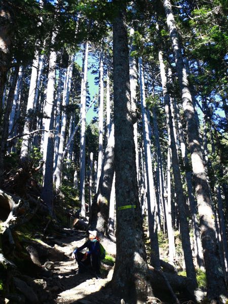 雪山主峰、東峰106.9.30-10.1179426