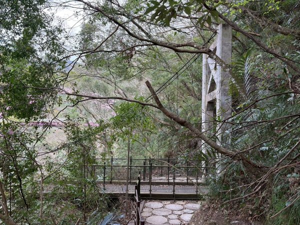 桃園 復興 巴陵隧道3011949