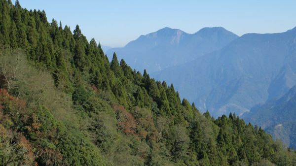 特富野古道234865