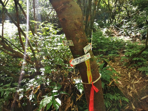 九華山福德宮-平溪子山-台和煤礦-北43鄉道-106縣道2907762