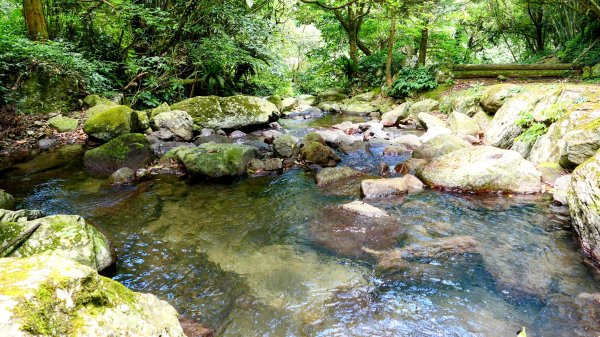 溪和宮,大尖山,擎天崗2823010