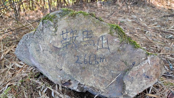 波鞍船稍G屋東2688225