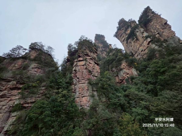 2025/11/8-10張家界園區2939352