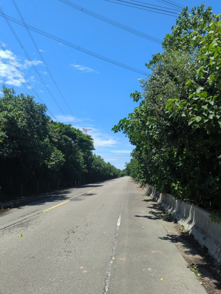 2025.07.26－霄裡好風光：觀音~新屋自行車道2847825