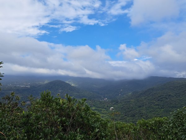 小百岳集起來大崙頭尾山親山步道3127366