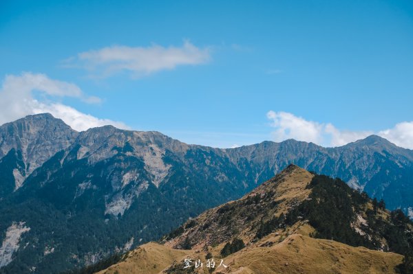 花季限定的景色3063168