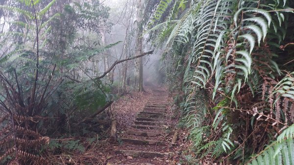 水社大山水社主峰新年二部曲1598804