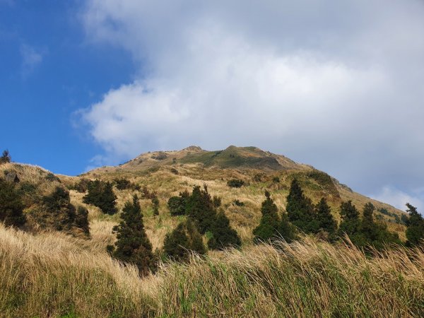七星山主、東峰登山步道（小百岳）1275214