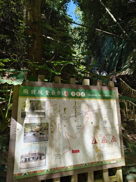 松柏嶺O形2908137