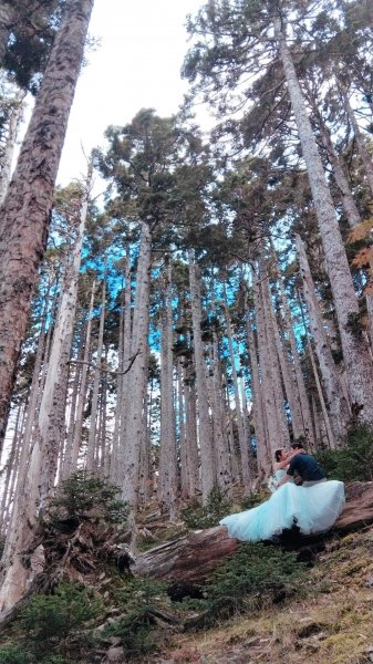 雪山 不下雪533132