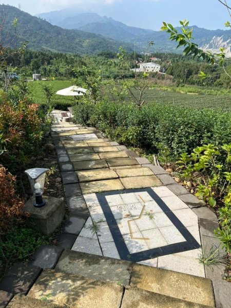 ［竹山］山坪頂茶山七星步道2909678