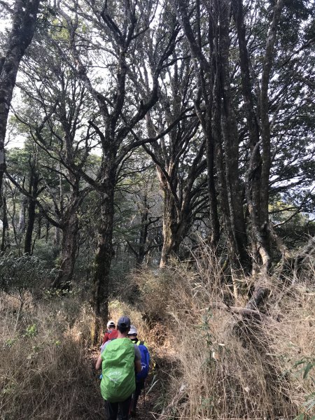 霞喀羅大山,佐藤山順訪佐藤駐在所1324538