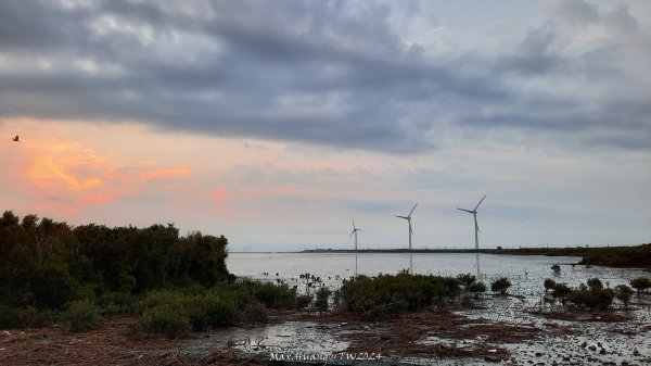 《彰化》海空七夕｜芳苑海空步道濕地紅樹林202408102569279