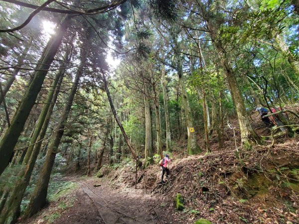 加里山大坪登山口P型縱走1108380