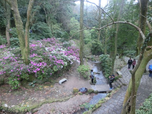 陽明公園．大屯瀑布．青春嶺273111