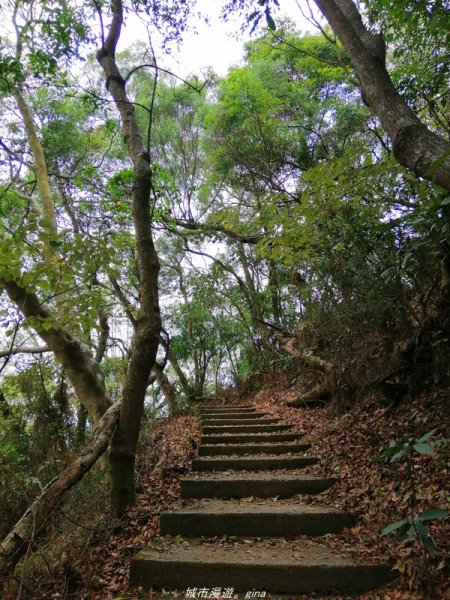 【南投】散步小百岳。 小百岳集起來。 編號48小百岳~橫山1386342