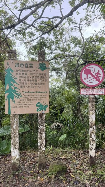 20260203小百岳月眉山鯉魚山2994877